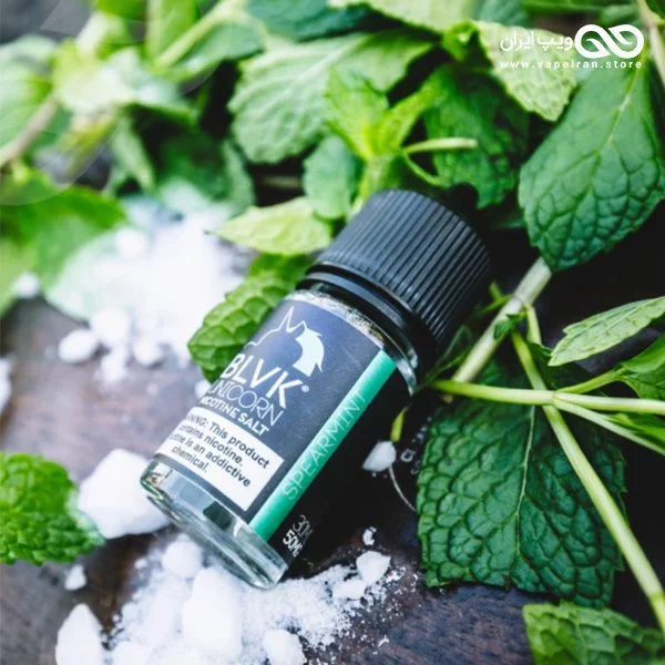 جویس سالت طعم نعنایی BLVK Spearmint - Image 1